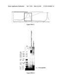 POLYMER CONJUGATES OF THERAPEUTIC PEPTIDES diagram and image