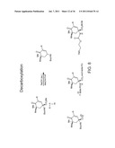 SYNTHESIS OF AVRAINVILLAMIDE, STEPHACIDIN B, AND ANALOGUES THEREOF diagram and image