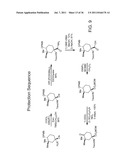 SYNTHESIS OF AVRAINVILLAMIDE, STEPHACIDIN B, AND ANALOGUES THEREOF diagram and image