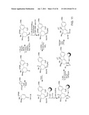 SYNTHESIS OF AVRAINVILLAMIDE, STEPHACIDIN B, AND ANALOGUES THEREOF diagram and image