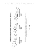 SYNTHESIS OF AVRAINVILLAMIDE, STEPHACIDIN B, AND ANALOGUES THEREOF diagram and image