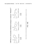 SYNTHESIS OF AVRAINVILLAMIDE, STEPHACIDIN B, AND ANALOGUES THEREOF diagram and image