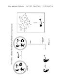 SYNTHESIS OF AVRAINVILLAMIDE, STEPHACIDIN B, AND ANALOGUES THEREOF diagram and image