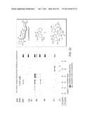 SYNTHESIS OF AVRAINVILLAMIDE, STEPHACIDIN B, AND ANALOGUES THEREOF diagram and image