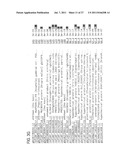 Nucleotide and Amino Acid Sequences for Calmodulin Protein     Methyltransferase diagram and image