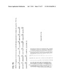 Nucleotide and Amino Acid Sequences for Calmodulin Protein     Methyltransferase diagram and image