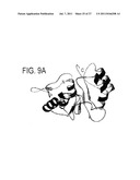 Nucleotide and Amino Acid Sequences for Calmodulin Protein     Methyltransferase diagram and image