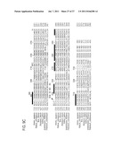 Nucleotide and Amino Acid Sequences for Calmodulin Protein     Methyltransferase diagram and image