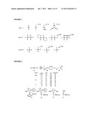 GOLD CATALYZED HYDROAMINATION OF ALKYNES AND ALLENES diagram and image