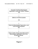 Automatic Multi-Level Therapy Based on Morphologic Organization of an     Arrhythmia diagram and image