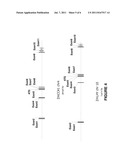 IDENTIFICATION OF DIURNAL RHYTHMS IN PHOTOSYNTHETIC AND NON-PHOTSYNTHETIC     TISSUES FROM ZEA MAYS AND USE IN IMPROVING CROP PLANTS diagram and image