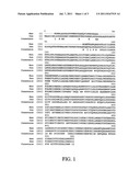 HEAT STABLE VARIANTS OF PLANT ADENOSINE DIPHOSPHATE GLUCOSE     PYROPHOSPHORYLASE SMALL SUBUNIT diagram and image