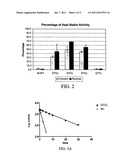 HEAT STABLE VARIANTS OF PLANT ADENOSINE DIPHOSPHATE GLUCOSE     PYROPHOSPHORYLASE SMALL SUBUNIT diagram and image