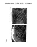 FEED SIDE PASSAGE MATERIAL AND SPIRAL SEPARATION MEMBRANE ELEMENT diagram and image