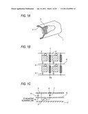 IMAGE HOLD BODY AND IMAGE FORMING APPARATUS diagram and image