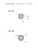 IMAGE HOLD BODY AND IMAGE FORMING APPARATUS diagram and image