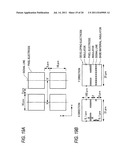 IMAGE HOLD BODY AND IMAGE FORMING APPARATUS diagram and image