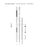 DTV RECEIVING SYSTEM AND METHOD OF PROCESSING DTV SIGNAL diagram and image