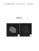 Photo-patterned pre-tilt liquid crystal cells, lenses and methods diagram and image