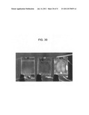 Photo-patterned pre-tilt liquid crystal cells, lenses and methods diagram and image