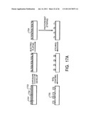 DEVICE FOR CHEMICAL AND BIOCHEMICAL REACTIONS USING PHOTO-GENERATED     REAGENTS diagram and image