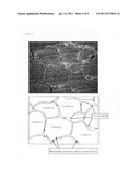 ELECTRICALLY CONDUCTIVE POLYETHYLENE RESIN COMPOSITION, ELECTRICALLY     CONDUCTIVE POLYETHYLENE RESIN MOLDING SLIDING BEARING, AND SLIDING SHEET diagram and image