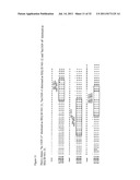 ANTI-FcRH5 ANTIBODIES AND IMMUNOCONJUGATES AND METHODS OF USE diagram and image