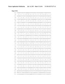 NUCLEIC ACID AND CORRESPONDING PROTEIN ENTITLED 162P1E6 USEFUL IN     TREATMENT AND DETECTION OF CANCER diagram and image