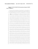 NUCLEIC ACID AND CORRESPONDING PROTEIN ENTITLED 162P1E6 USEFUL IN     TREATMENT AND DETECTION OF CANCER diagram and image