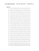 NUCLEIC ACID AND CORRESPONDING PROTEIN ENTITLED 162P1E6 USEFUL IN     TREATMENT AND DETECTION OF CANCER diagram and image