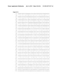 NUCLEIC ACID AND CORRESPONDING PROTEIN ENTITLED 162P1E6 USEFUL IN     TREATMENT AND DETECTION OF CANCER diagram and image