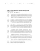 NUCLEIC ACID AND CORRESPONDING PROTEIN ENTITLED 162P1E6 USEFUL IN     TREATMENT AND DETECTION OF CANCER diagram and image