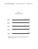 NUCLEIC ACID AND CORRESPONDING PROTEIN ENTITLED 162P1E6 USEFUL IN     TREATMENT AND DETECTION OF CANCER diagram and image