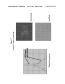 NUCLEIC ACID AND CORRESPONDING PROTEIN ENTITLED 162P1E6 USEFUL IN     TREATMENT AND DETECTION OF CANCER diagram and image