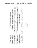 Methods, Compounds, and Compositions for Treatment and Prophylaxis in the     Respiratory Tract diagram and image