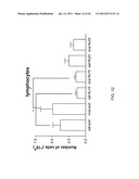 Methods, Compounds, and Compositions for Treatment and Prophylaxis in the     Respiratory Tract diagram and image