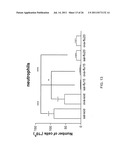 Methods, Compounds, and Compositions for Treatment and Prophylaxis in the     Respiratory Tract diagram and image