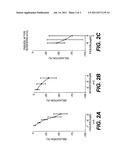 FASUDIL IN COMBINATION THERAPIES FOR THE TREATMENT OF PULMONARY ARTERIAL     HYPERTENSION diagram and image