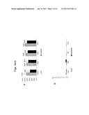 METHODS FOR CELL EXPANSION AND USES OF CELLS AND CONDITIONED MEDIA     PRODUCED THEREBY FOR THERAPY diagram and image