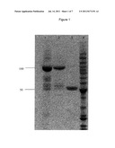 SUPPRESSION OF NEUROENDOCRINE DISEASES diagram and image