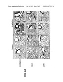 METHODS AND COMPOSITIONS FOR PREVENTING RADIATION-INDUCED PNEUMONITIS diagram and image