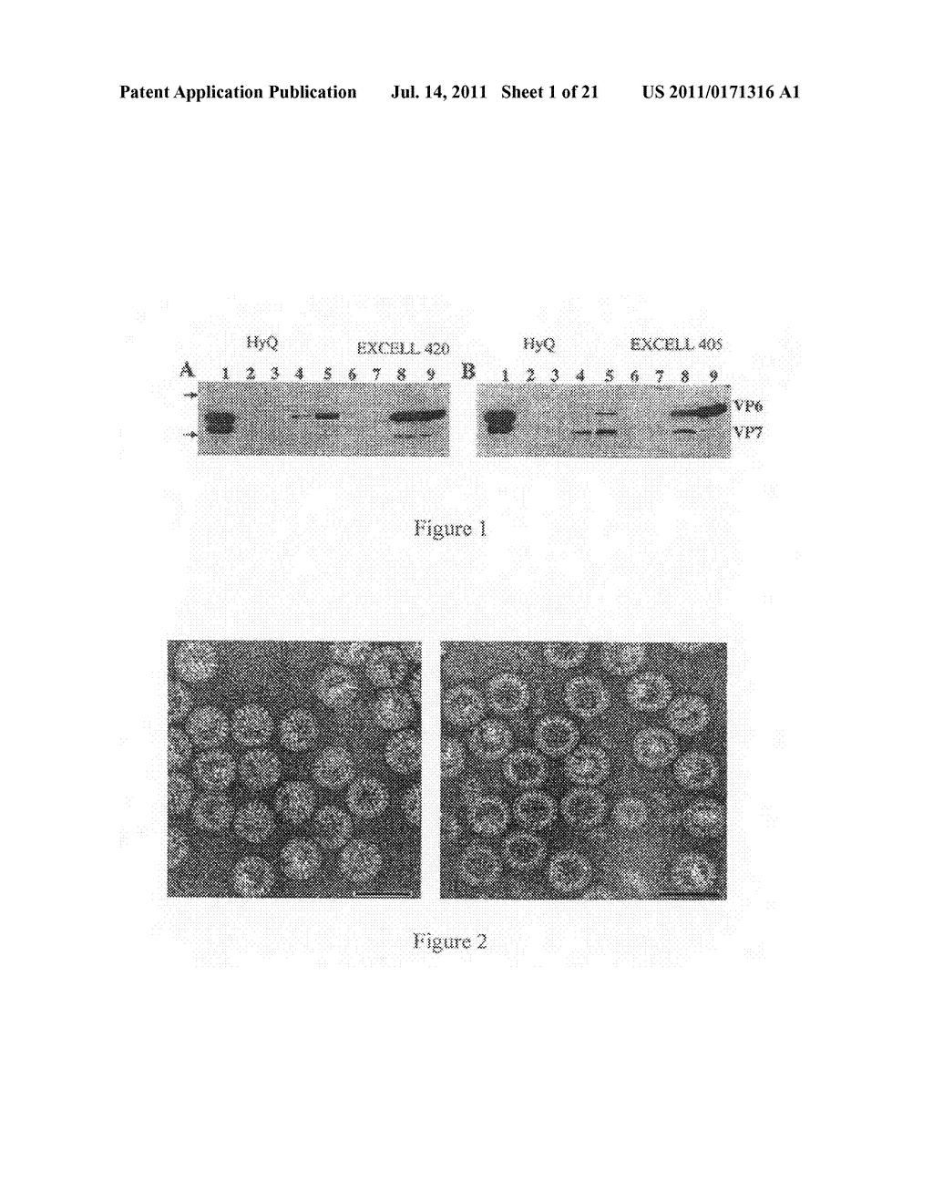 EXPRESSION AND ASSEMBLY OF HUMAN GROUP C ROTAVIRUS-LIKE PARTICLES AND USES     THEREOF - diagram, schematic, and image 02