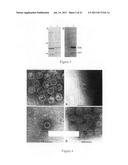EXPRESSION AND ASSEMBLY OF HUMAN GROUP C ROTAVIRUS-LIKE PARTICLES AND USES     THEREOF diagram and image
