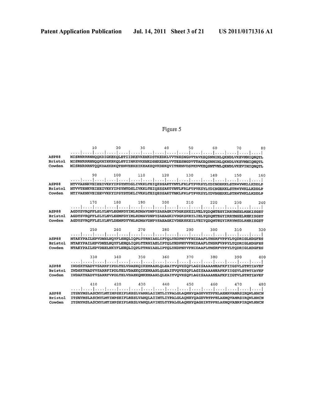 EXPRESSION AND ASSEMBLY OF HUMAN GROUP C ROTAVIRUS-LIKE PARTICLES AND USES     THEREOF - diagram, schematic, and image 04