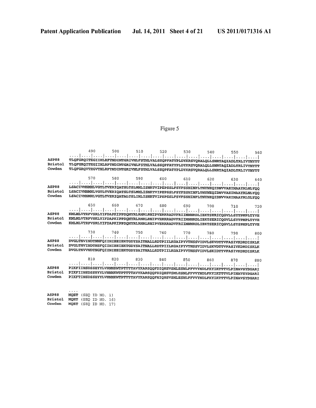 EXPRESSION AND ASSEMBLY OF HUMAN GROUP C ROTAVIRUS-LIKE PARTICLES AND USES     THEREOF - diagram, schematic, and image 05