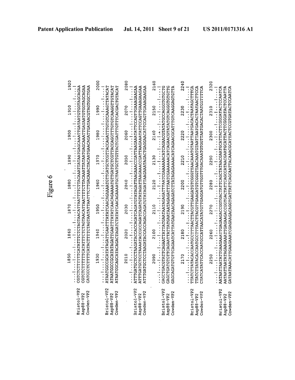 EXPRESSION AND ASSEMBLY OF HUMAN GROUP C ROTAVIRUS-LIKE PARTICLES AND USES     THEREOF - diagram, schematic, and image 10