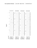 EXPRESSION AND ASSEMBLY OF HUMAN GROUP C ROTAVIRUS-LIKE PARTICLES AND USES     THEREOF diagram and image