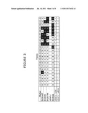 LOSS OF HETEROZYGOSITY OF THE DNA MARKERS IN THE 12Q22-23 REGION diagram and image