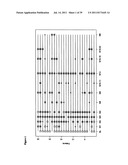 METHODS OF DIAGNOSING ACUTE CARDIAC ALLOGRAFT REJECTION diagram and image