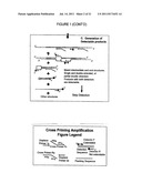 CROSS PRIMINGAMPLIFICATION OF TARGET NUCLEIC ACIDS diagram and image